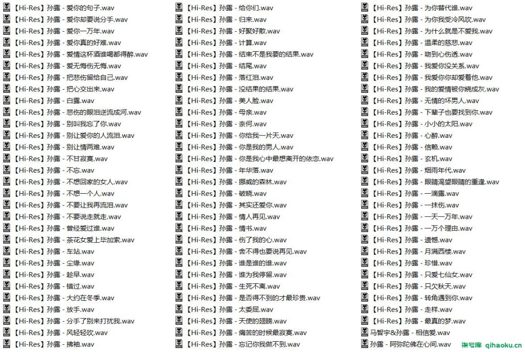 图片[2]-【348首】孙露十年经典黑胶光盘hifi发烧翻唱歌曲高保真车载无损音乐值得收藏【HiRes+WAV】18.2G-柒号库