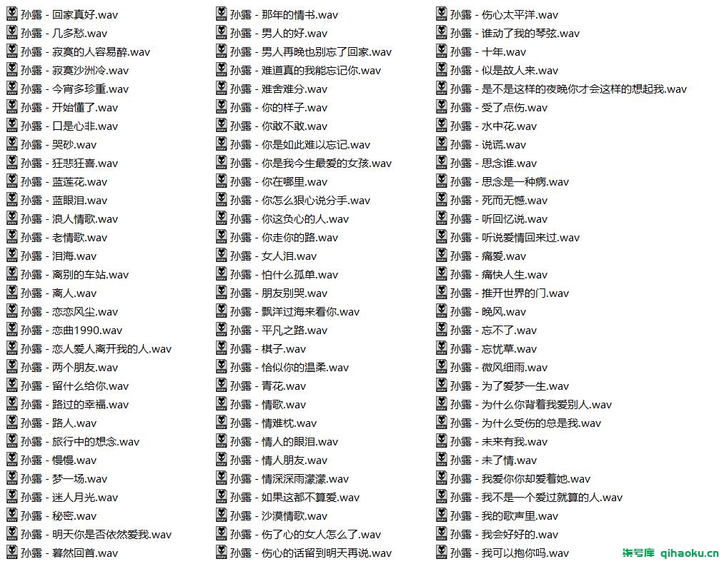 图片[3]-【348首】孙露十年经典黑胶光盘hifi发烧翻唱歌曲高保真车载无损音乐值得收藏【HiRes+WAV】18.2G-柒号库