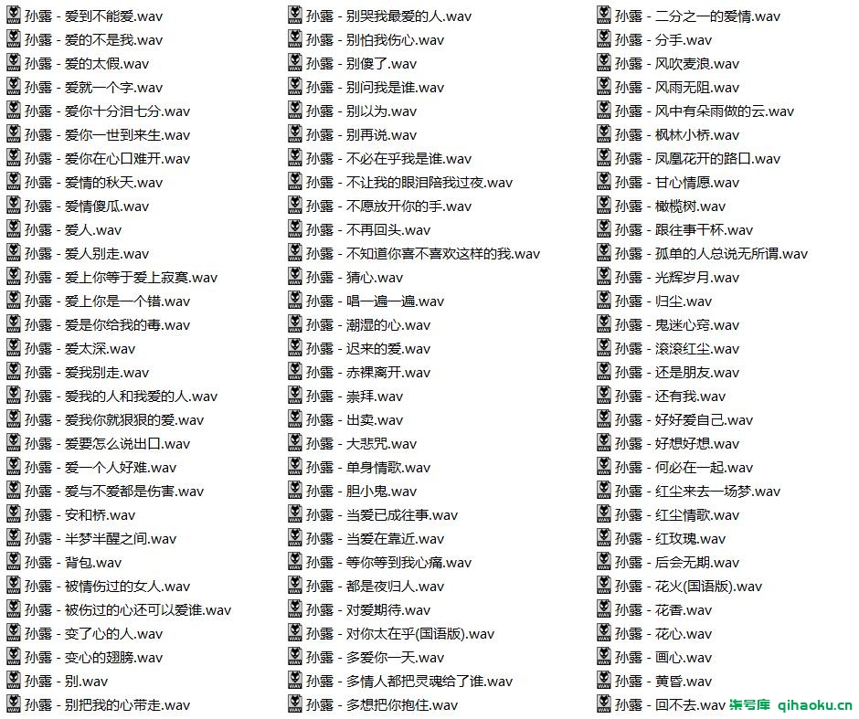 图片[4]-【348首】孙露十年经典黑胶光盘hifi发烧翻唱歌曲高保真车载无损音乐值得收藏【HiRes+WAV】18.2G-柒号库