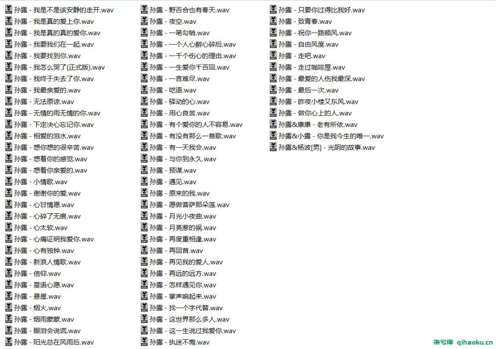 图片[5]-【348首】孙露十年经典黑胶光盘hifi发烧翻唱歌曲高保真车载无损音乐值得收藏【HiRes+WAV】18.2G-柒号库
