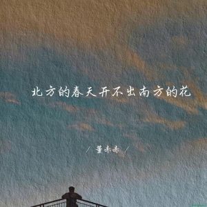 《北方的春天开不出南方的花》 董赤赤 [WAV/MP3 ]- 25.5M-柒号库