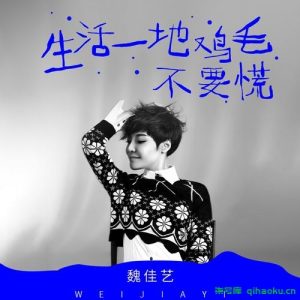 《生活一地鸡毛不要慌(dj版)》 魏佳艺 [WAV/MP3 ]- 33.5M-柒号库